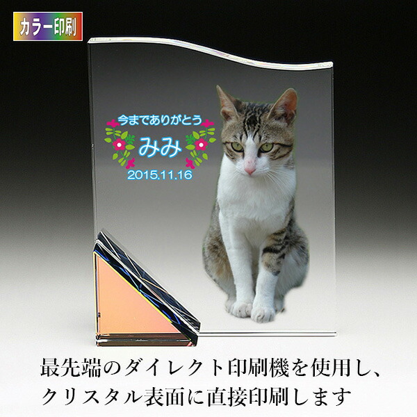 日本最大級 楽天市場 ペット用仏具 ペット位牌プレート型 波型mサイズ Kp uソフィアクリスタル クリスタルガラス ペット供養 写真 カラー印刷 お盆 お彼岸 横田石材 楽天市場店 日本製 Lexusoman Com