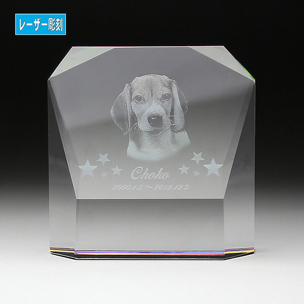 安い ペット用仏具 ペット位牌六角形lサイズ Kp 3側面ダイヤカット ソフィアクリスタル クリスタルガラス ペット供養 写真 レーザー彫刻 お盆 お彼岸 楽天市場 Sensorium No