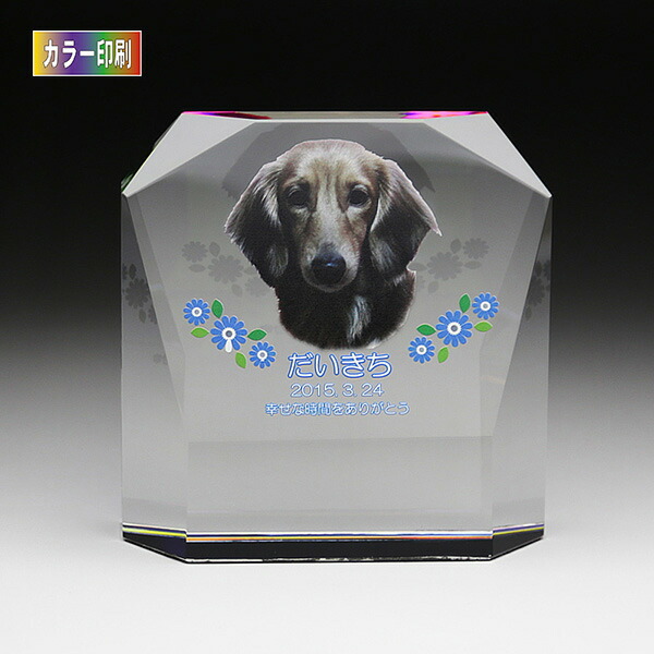 楽天ランキング1位 楽天市場 ペット用仏具 ペット位牌六角形lサイズ Kp 3uソフィアクリスタル クリスタルガラス ペット供養 写真 カラー印刷 お盆 お彼岸 横田石材 楽天市場店 想像を超えての Blog Belasartes Br
