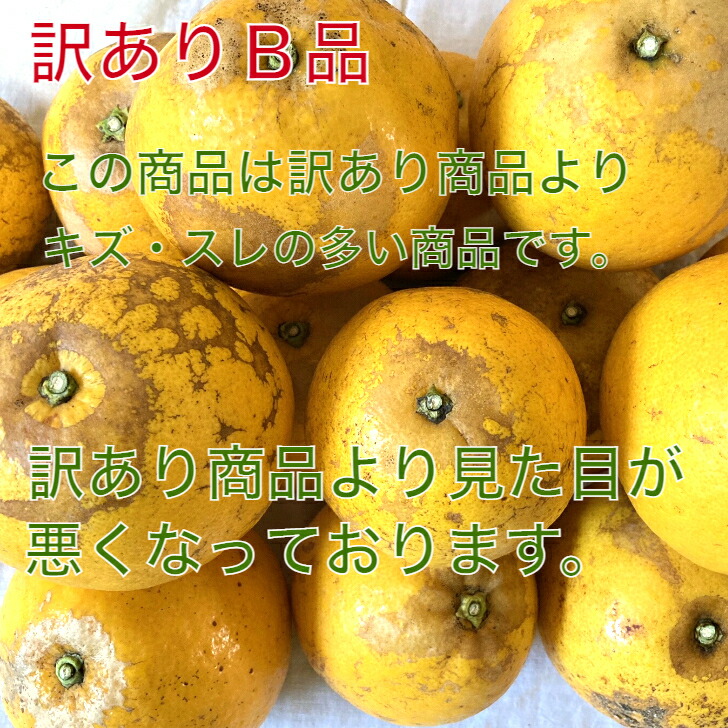 市場 愛媛県産訳あり宇和島南予ゴールドＢ品4キロ 送料無料 北海道 樹齢25年 Ｍ〜4Ｌ 宇和ゴールド 10〜14個 離島別途 サイズ 沖縄別途800円