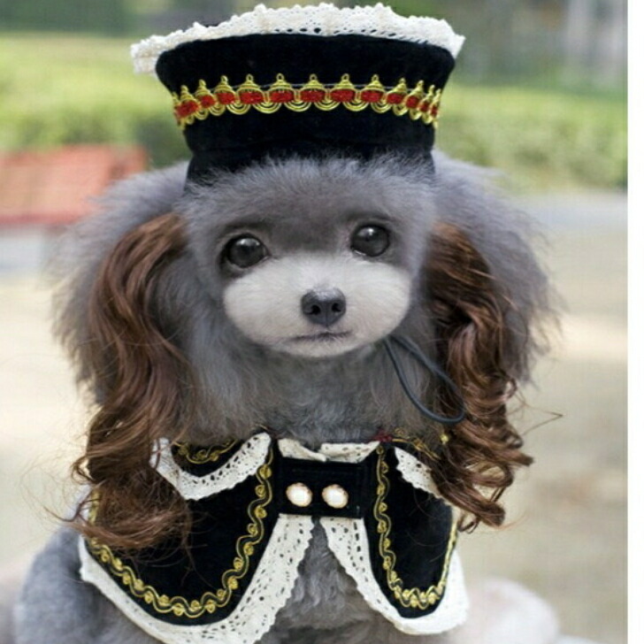 楽天市場】【全商品ポイント5倍】犬 秋服 冬服 ワンピース 手作り犬服