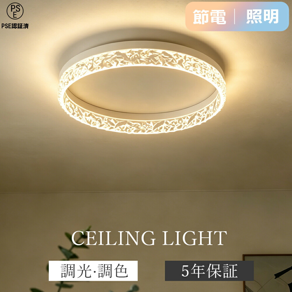 【2026初御出座し・炎暑打つ手】 上昇限度ともし火 今めかしい 北欧 きらきら LED 節電 工事不必要 照明装置手道具 工事不必要 室内装飾 今めかしい 上昇限度照明装置 リビング照明装置 御茶の間ともし火 調光調色 LED相応う 分かりやすい 遠隔操作 節電 2026