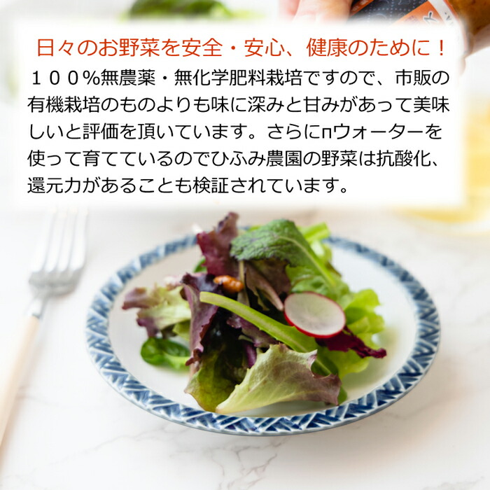 超特価sale開催 産地直送 無農薬野菜セット 相模湖からお届けする無農薬野菜 季節のおまかせ詰め合わせ オーガニック 旬 食材 新鮮 採れたて 厳選 食品 国産 産直野菜 健康 ご当地 ご当地グルメ 美味しい 自宅用 おうちグルメ おうちごはん ギフト プレゼント 贈り物