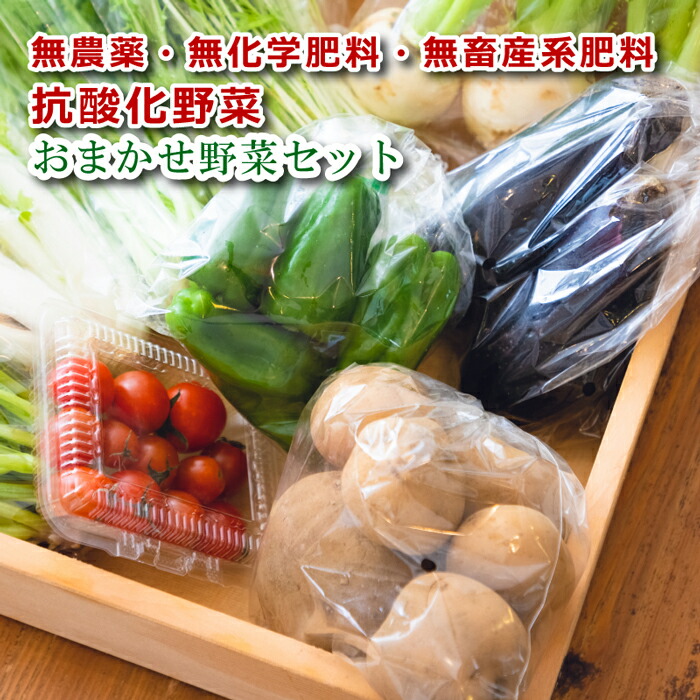 超特価sale開催 産地直送 無農薬野菜セット 相模湖からお届けする無農薬野菜 季節のおまかせ詰め合わせ オーガニック 旬 食材 新鮮 採れたて 厳選 食品 国産 産直野菜 健康 ご当地 ご当地グルメ 美味しい 自宅用 おうちグルメ おうちごはん ギフト プレゼント 贈り物