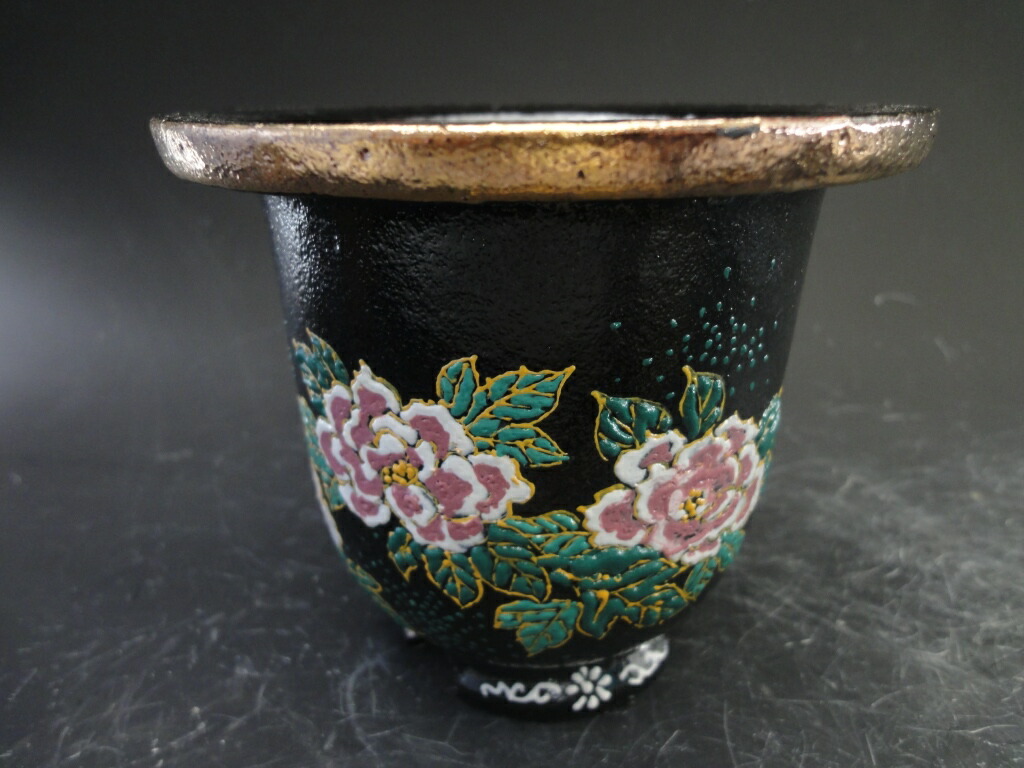 楽天市場】天山工房 富貴蘭鉢 : フェニックスガーデン