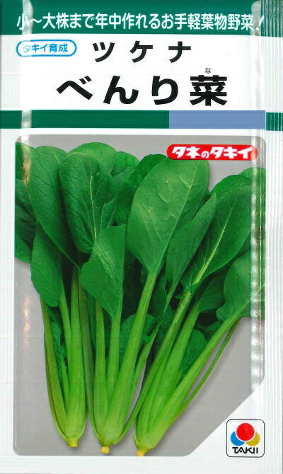 楽天市場】【コマツナ】菜々美 【タキイ種苗】（5ml）野菜種小松菜[春まき][秋まき]GF : Hana Uta 米沢園芸 楽天市場店