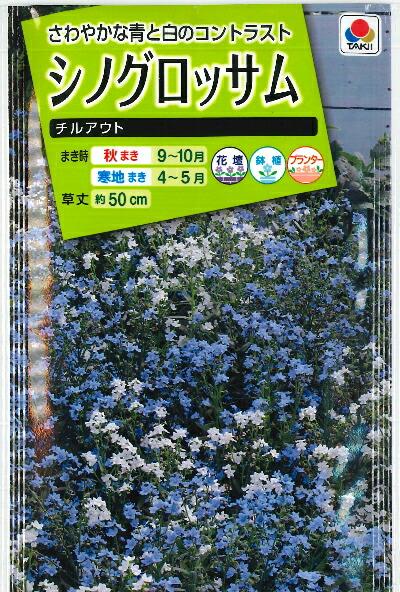 楽天市場 シノグロッサム チルアウト タキイ種苗 2ml 耐寒性一年草 秋まき Hana Uta 米沢園芸 楽天市場店