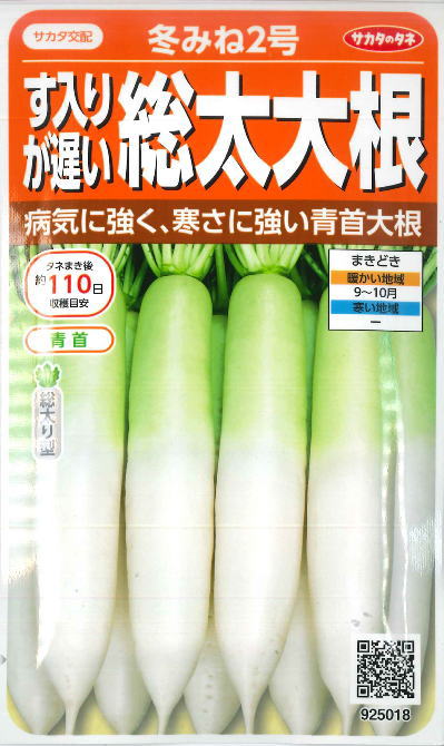 楽天市場】【ダイコン】おでん大根（味福） 【トーホク】野菜種（8ml） : Hana Uta 米沢園芸 楽天市場店