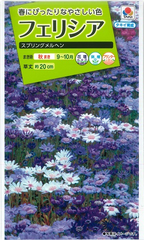 楽天市場 フェリシア スプリングメルヘン タキイ種苗 0 4ml 耐寒性一年草 秋まき Fzz840 Hana Uta 米沢園芸 楽天市場店