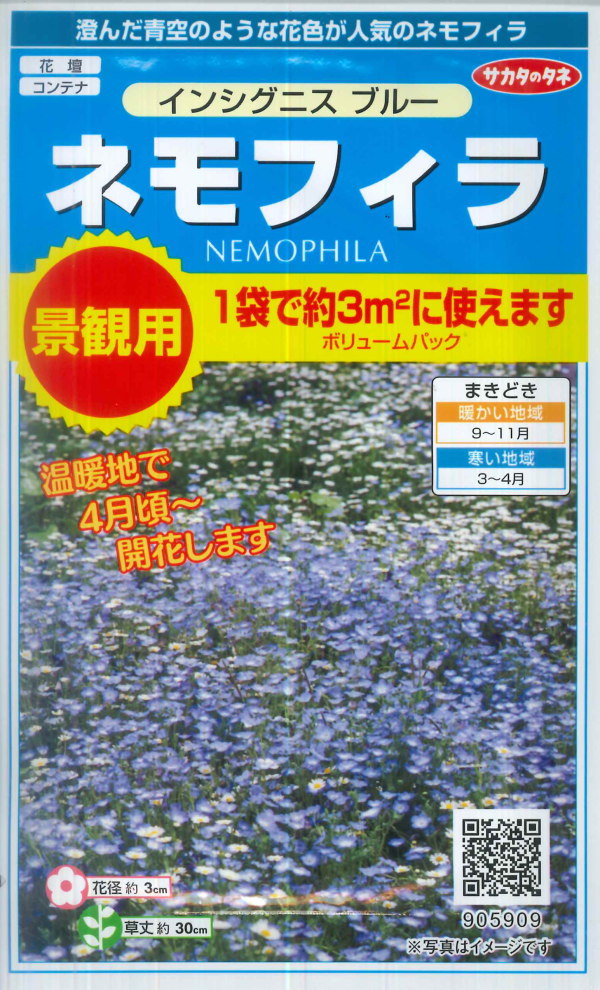 楽天市場】【ペチュニア】パステルカラーミックス【サカタのタネ】（50粒）【耐寒性1年草】早生品種[春まき][秋まき](905698) : Hana  Uta 米沢園芸 楽天市場店