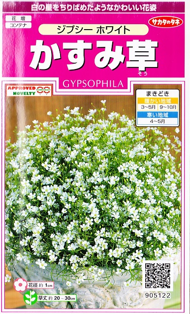 楽天市場 かすみ草 ジプシーホワイト サカタのタネ 30粒 耐寒性1年草 春まき 秋まき Hana Uta 米沢園芸 楽天市場店