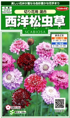 楽天市場 西洋松虫草 切り花用混合 スカビオーサ サカタのタネ 3ml 耐寒性一年草 スカビオサ 春まき 秋まき Hana Uta 米沢園芸 楽天市場店