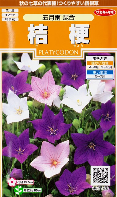 楽天市場 桔梗 五月雨混合 サカタのタネ 0 3ml 多年草 春まき 秋まき キキョウの種9071 Hana Uta 米沢園芸 楽天市場店