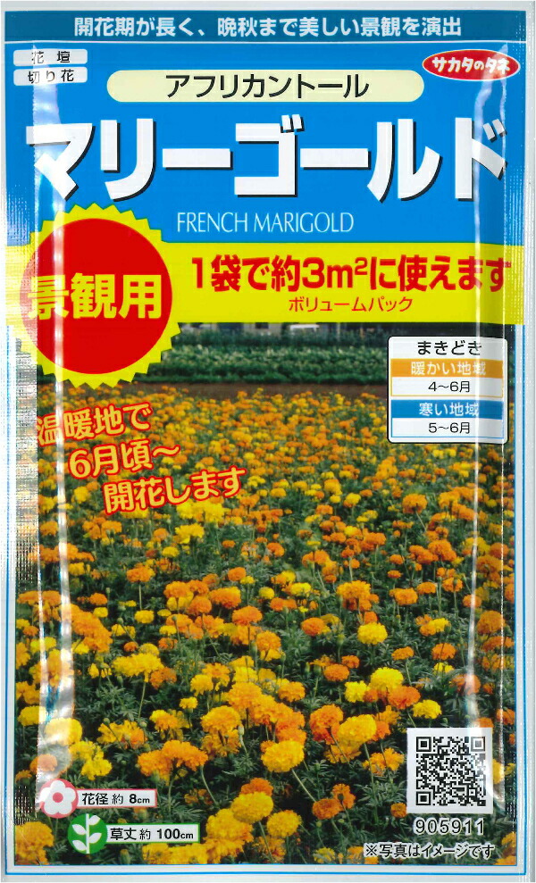 楽天市場】【トルコギキョウ】ロジーナミックス【サカタのタネ】コーティング種子（0.1ml）【耐寒性1〜2年草】[春まき][秋まき]905334 :  Hana Uta 米沢園芸 楽天市場店