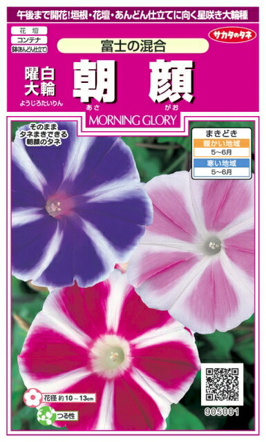 楽天市場】花種子 曜白大輪朝顔「富士の混合」1ml（サカタのタネ