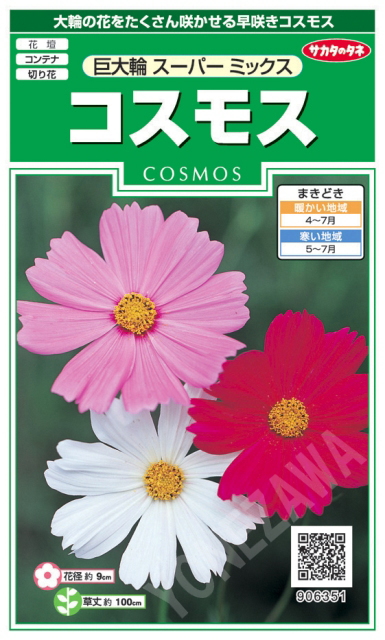 花種子 サカタのタネ スカーレットオハラ 朝顔 約１０本 １ｍｌ袋詰 直送商品 朝顔