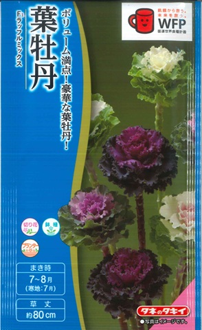 市場 葉牡丹の種 30粒 タキイ交配 F１ラッフルミックス ハボタン