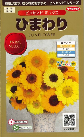 ひまわり 生花】ひまわり パナッシェ【黄/60cm/千葉県】｜Flower Smith