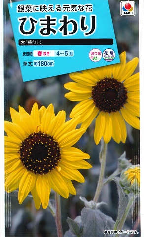 楽天市場】【ヒマワリの種】バイカラーミックス【サカタのタネ】（2ml