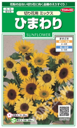 ひまわりの種サマ御依頼品！新浜レオン様セット ひまわり 幸せの赤いひまわりの通販 苗木部 By 花ひろばオンライン