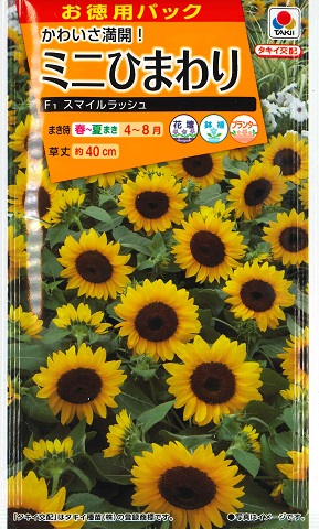 Amazon.co.jp: アネモネ 一重咲き 白青＆白赤 球根 25ml 秋植え
