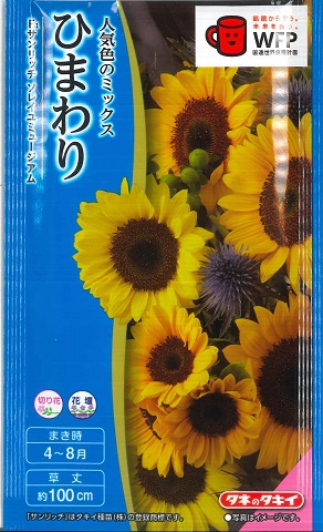 楽天市場 ゴッホが選んだひまわり F1サンリッチ ソレイユミュージアム タキイ種苗 3ml 春まき 夏まき Hana Uta 米沢園芸 楽天市場店