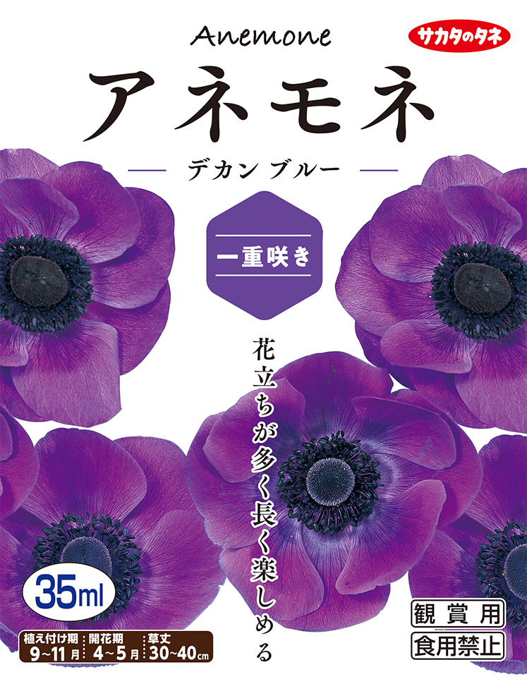 楽天市場 秋植え球根 アネモネ一重咲き デカン ブルー 35ml詰 サカタのタネ Hana Uta 米沢園芸 楽天市場店