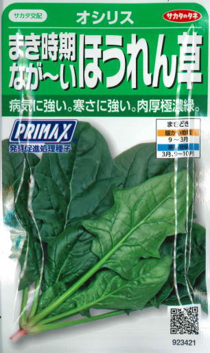 楽天市場 まき時期なが いほうれん草 オシリス Primax サカタのタネ 野菜種 春まき 秋まき 30ml Hana Uta 米沢園芸 楽天市場店