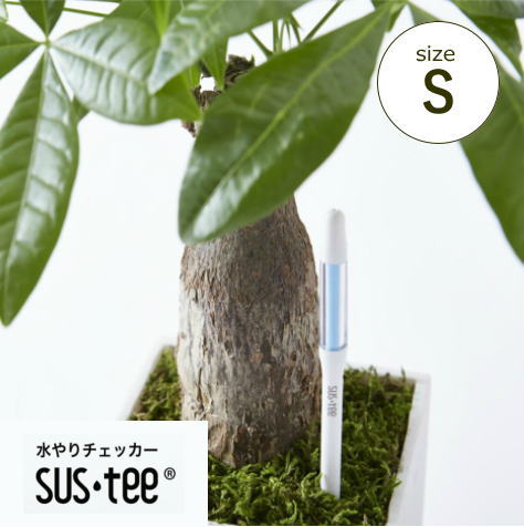 楽天市場 植物の水分計 Sustee サスティー Sサイズ 交換可能 Cabinotier 2号 2 5号 3号 3 5号 観葉植物 ラン 多肉植物 サボテン 花苗 サスティ ランドプランツ