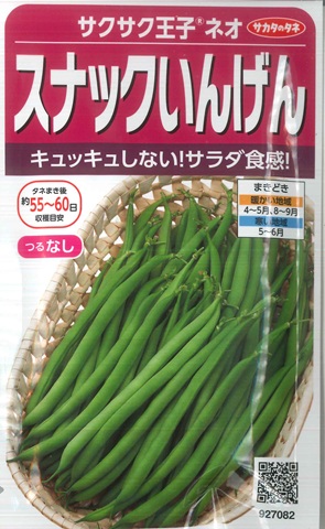 いんげん10 キろ いんげん 10キロ 送料込み｜食品・飲料・酒