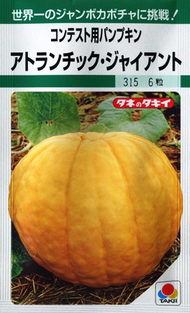 楽天市場】【特大ひょうたん】天下一【サカタのタネ】（5ml）野菜種[春