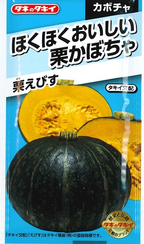 楽天市場】【カボチャ】ほっこり133【タキイ種苗】（9粒）野菜種