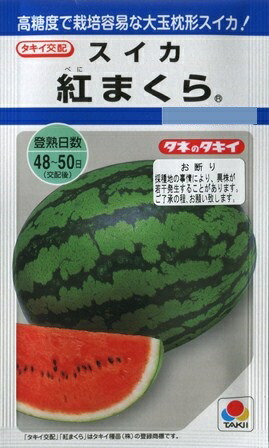 楽天市場】【黒皮小玉スイカ】ネオブラックボンバー 【タキイ交配】（7