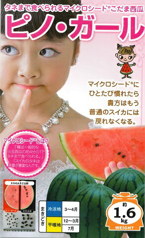 楽天市場】【黒皮小玉スイカ】ネオブラックボンバー 【タキイ交配】（7