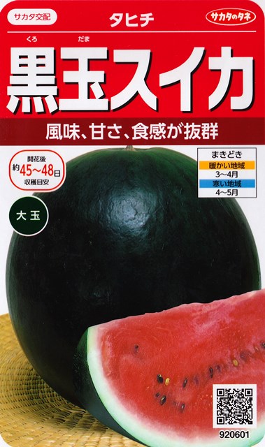 楽天市場】【黒皮小玉スイカ】ネオブラックボンバー 【タキイ交配】（7