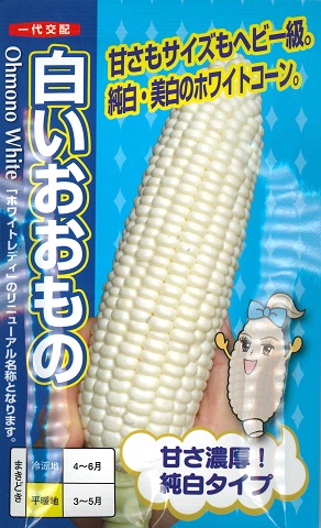 楽天市場】【倒れにくいゴールドラッシュ】ゴールドラッシュ90【サカタ