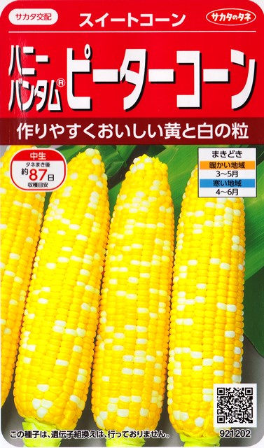 楽天市場 スイートコーン ピーターコーン サカタのタネ 25ml 野菜種 とうもろこしの種 春まき 921202 Hana Uta 米沢園芸 楽天市場店