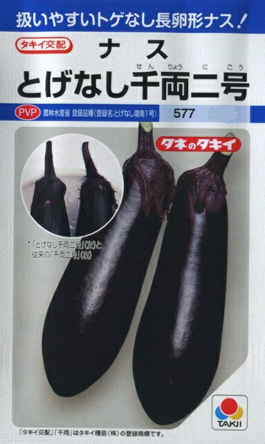 楽天市場】【タキイ種苗】とげなし千両2号ナス 35粒 : 船木種苗店