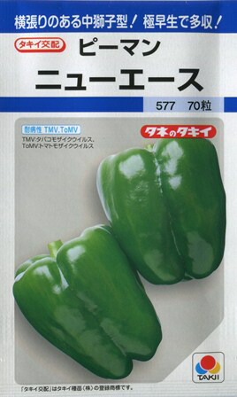 ピーマン 55028-0463-35K Kawasaki Fairing cowling lower right