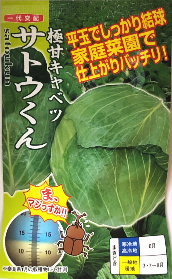 楽天市場 極甘キャベツ サトウくん ナント種苗 一代交配 40粒 野菜種 春まき 秋まき Hana Uta 米沢園芸 楽天市場店