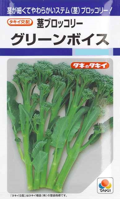 楽天市場】【キャベツ】北ひかり 【タキイ種苗】（1.8ml）野菜種[秋まき]DF : Hana Uta 米沢園芸 楽天市場店