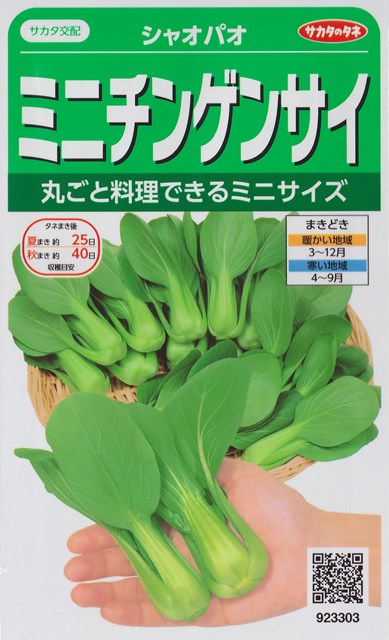 冬バーゲン☆】 種のことならお任せグリーンデポ カリフラワー種 サカタのカリフラワーです