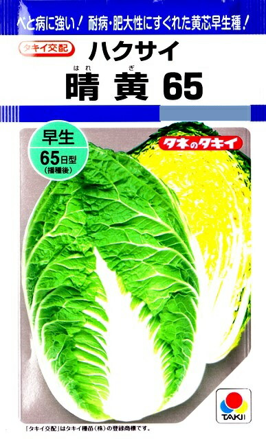 楽天市場】【キャベツ】北ひかり 【タキイ種苗】（1.8ml）野菜種[秋まき]DF : Hana Uta 米沢園芸 楽天市場店