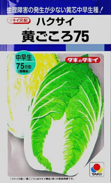 楽天市場】【キャベツ】北ひかり 【タキイ種苗】（1.8ml）野菜種[秋まき]DF : Hana Uta 米沢園芸 楽天市場店