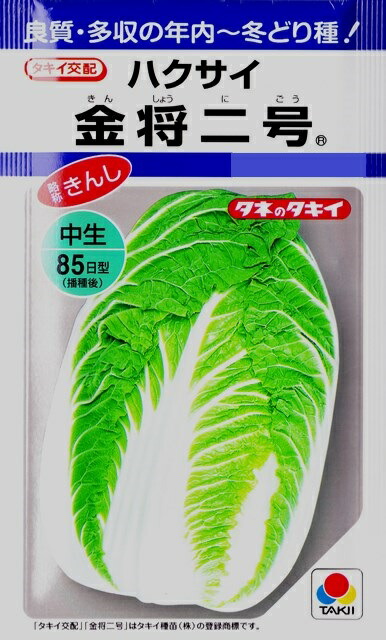 楽天市場】【ハクサイ】冬峠（略称：さぎ）【タキイ種苗】（2.5ml）野菜種[秋まき]DF : Hana Uta 米沢園芸 楽天市場店