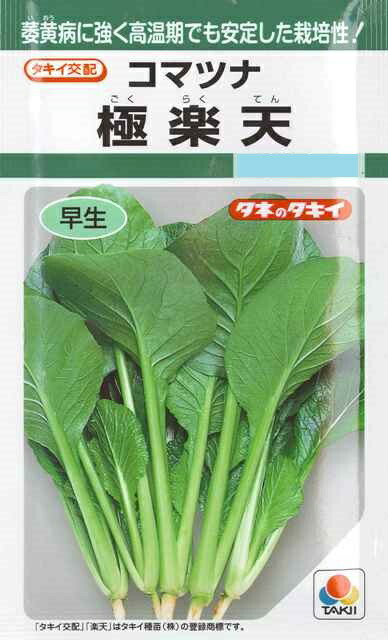 楽天市場】【コマツナ】夏楽天 （7ml）【タキイ交配】野菜種/小松菜/タキイ種苗[春まき][秋まき]GF : Hana Uta 米沢園芸 楽天市場店