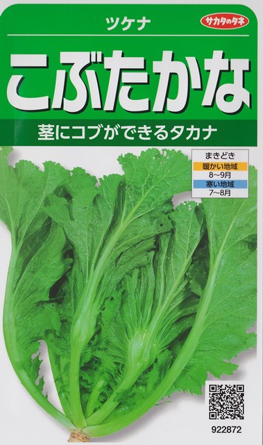 楽天市場】【ツケナ】葉からし菜【サカタのタネ】（10ml）野菜種[春まき][秋まき]922873 : Hana Uta 米沢園芸 楽天市場店