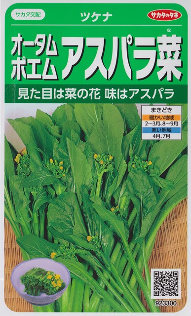 楽天市場】【えん麦】ネグサレタイジ（60ml）緑肥[春まき][秋まき]【タキイ種苗】 : Hana Uta 米沢園芸 楽天市場店