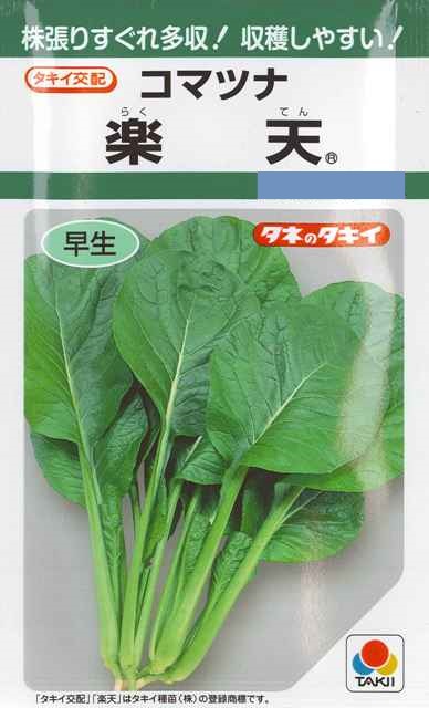 長陽 2.7ml タキイ交配  ＧＦ  即日出荷 中国野菜 チンゲンサイ種
