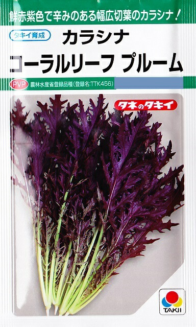 楽天市場】【ミニニンジン】ラブリーキャロット【中原採種場】（7ml）野菜種[春まき][秋まき] : Hana Uta 米沢園芸 楽天市場店